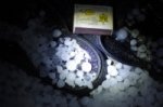 Аномальний град на Буковині Аномальний град на Буковині