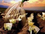 Топ-10 багатіїв Ради очолив Костянтин Жеваго Топ-10 багатіїв Ради очолив Костянтин Жеваго
