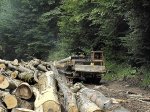У Сторожинецькому районі сталася жахлива трагедія У Сторожинецькому районі сталася жахлива трагедія