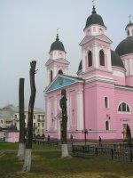 У Чернівцях знову позбиткувалися з дерев навколо собору У Чернівцях знову позбиткувалися з дерев навколо собору