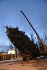 В Чернівцях встановлюють новорічну ялинку В Чернівцях встановлюють новорічну ялинку