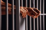 Капітана засудили за те, що змушував ув"язнених розвантажувати свою автівку з яблуками Капітана засудили за те, що змушував ув"язнених розвантажувати свою автівку з яблуками
