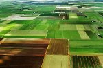 Паї призначені для сільського господарства, а не для забудови Паї призначені для сільського господарства, а не для забудови