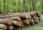 У лісопромисловому цеху на Хотинщині колода травмувала працівника У лісопромисловому цеху на Хотинщині колода травмувала працівника