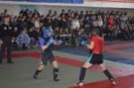 Рекордна кількість вболівальників на Чемпіонаті області з панкратіону Рекордна кількість вболівальників на Чемпіонаті області з панкратіону