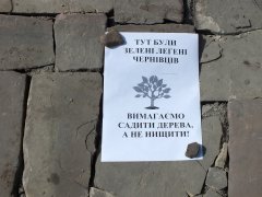 "Час" - проти варварської вирубки дерев в Чернівцях ФОТО "Час" - проти варварської вирубки дерев в Чернівцях ФОТО