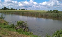 На Буковині влада відібрала ставок у сільської громади і віддала його московській церкві На Буковині влада відібрала ставок у сільської громади і віддала його московській церкві