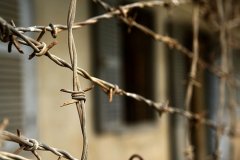 В Чернівецькому СІЗО вдвічі зменшилась кількість утриманих В Чернівецькому СІЗО вдвічі зменшилась кількість утриманих