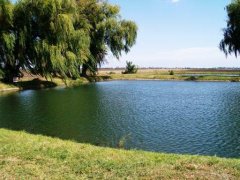 За результатами перевірки прокуратурою водних об’єктів Буковини відкрито два кримінальні провадження За результатами перевірки прокуратурою водних об’єктів Буковини відкрито два кримінальні провадження