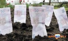 Як буковинцям отримати право на пільгу із земельного податку Як буковинцям отримати право на пільгу із земельного податку