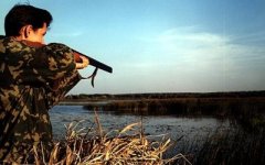 На території Буковини триває сезон полювання на пернату, та парнокопитну дичину На території Буковини триває сезон полювання на пернату, та парнокопитну дичину