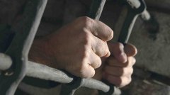 На Буковині засуджено групу шахраїв На Буковині засуджено групу шахраїв