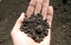 До уваги буковинців! За несплату плати за землю можна її втратити До уваги буковинців! За несплату плати за землю можна її втратити
