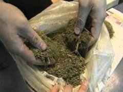 На Буковині співробітниками СБУ затримано службовця пенітенціарної служби з наркотиками На Буковині співробітниками СБУ затримано службовця пенітенціарної служби з наркотиками