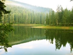 На Кіцманщині майже гектар земельної ділянки водного фонду повернуто державі На Кіцманщині майже гектар земельної ділянки водного фонду повернуто державі