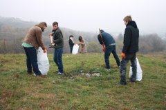 У Чернівцях свободівці провели екологічну акцію У Чернівцях свободівці провели екологічну акцію