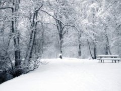 Зима буде теплою і сніжною Зима буде теплою і сніжною