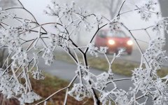 На вихідні на Буковині очікуються заморозки На вихідні на Буковині очікуються заморозки