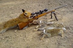 Хотин відкриває сезон полювання на зайців Хотин відкриває сезон полювання на зайців