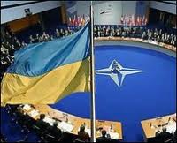 НАТО засуджує надмiрне використання сили українською владою супроти мирних демонстрантiв! НАТО засуджує надмiрне використання сили українською владою супроти мирних демонстрантiв!