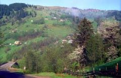 Дітям-сиротам гірських районів збільшено соцвиплати Дітям-сиротам гірських районів збільшено соцвиплати