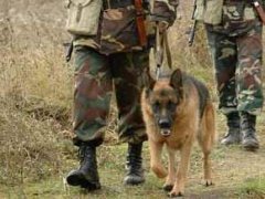 НА БУКОВИНСЬКОМУ КОРДОНІ ЗАТРИМАНО РОСІЯНИНА НА БУКОВИНСЬКОМУ КОРДОНІ ЗАТРИМАНО РОСІЯНИНА
