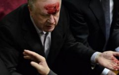 У Раді регіоналу Малишеву свої ж розбили чоло - Бригинець У Раді регіоналу Малишеву свої ж розбили чоло - Бригинець