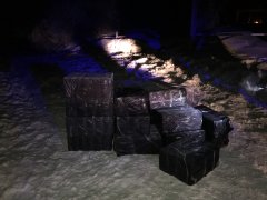 Караван з трьох коней та двох осіб з тютюновими виробами затримали поблизу кордону Караван з трьох коней та двох осіб з тютюновими виробами затримали поблизу кордону