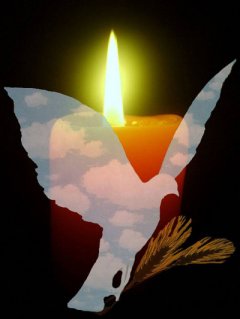 У Чернівцях 4 лютого оголошено Днем жалоби У Чернівцях 4 лютого оголошено Днем жалоби