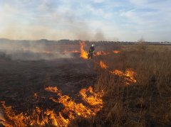 Від початку березня внаслідок спалювання сухої трави на Буковині вже сталася 41 пожежа Від початку березня внаслідок спалювання сухої трави на Буковині вже сталася 41 пожежа