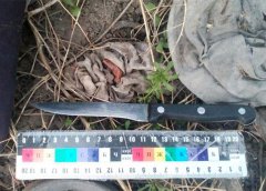 На Буковині брат убив брата На Буковині брат убив брата