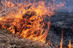 Чернівецька область: протягом вихідних виникло 19 пожеж, на одній із них травмовано людину Чернівецька область: протягом вихідних виникло 19 пожеж, на одній із них травмовано людину