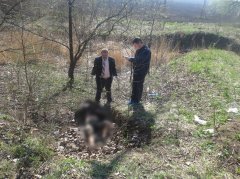 Конфлікт між двома буковинцями закінчився смертю одного з них (ФОТО) Конфлікт між двома буковинцями закінчився смертю одного з них (ФОТО)