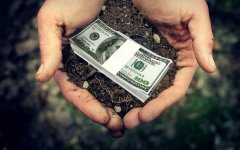 В Україні буде скасовано мораторій на продаж землі В Україні буде скасовано мораторій на продаж землі