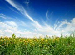 Прокуратура вимагає від фізичної особи звільнити земельну ділянку вартістю понад 4 млн. грн. Прокуратура вимагає від фізичної особи звільнити земельну ділянку вартістю понад 4 млн. грн.