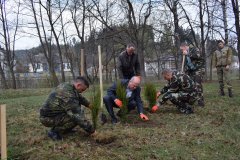 Путильський лісгосп висадив дерева на вшанування путильчан, що ліквідовували Чорнобильську аварію Путильський лісгосп висадив дерева на вшанування путильчан, що ліквідовували Чорнобильську аварію