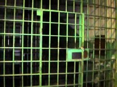 До 4,5 років позбавлення волі засуджено чернівчанина, який торгував наркотиками До 4,5 років позбавлення волі засуджено чернівчанина, який торгував наркотиками
