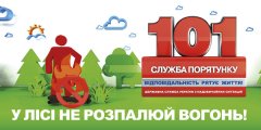 Правила поведінки під час перебування в лісі та на природі Правила поведінки під час перебування в лісі та на природі