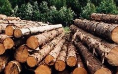 Чернівецька митниця ДФС: про експорт відходів деревини та пиломатеріалів Чернівецька митниця ДФС: про експорт відходів деревини та пиломатеріалів