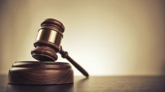 На Буковині лісничого засудили до 3 років за продаж деревини На Буковині лісничого засудили до 3 років за продаж деревини