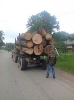 На Буковині СБУ затримала вантажівку з незаконно вирубаною деревиною На Буковині СБУ затримала вантажівку з незаконно вирубаною деревиною