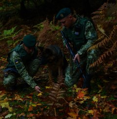 Буковинські прикордонники затримали втікача з Румунії, якого переслідувала румунська поліція Буковинські прикордонники затримали втікача з Румунії, якого переслідувала румунська поліція