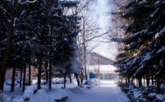 На буковині 18-річний учень ліцею помер у гуртожитку На буковині 18-річний учень ліцею помер у гуртожитку